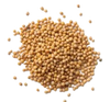  Quinoa extract